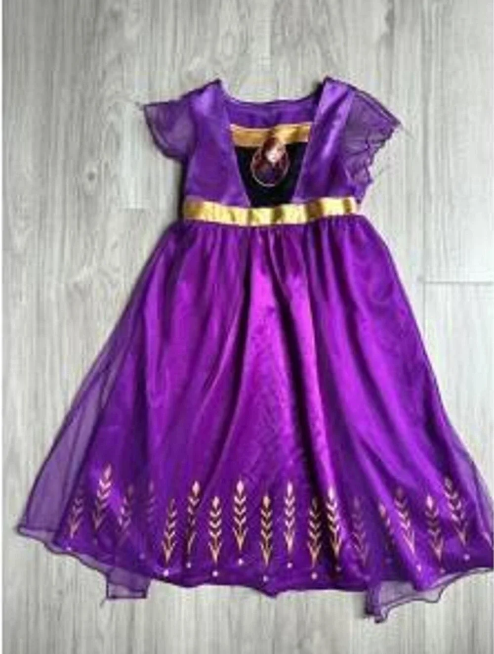 Frozen II Princess Costume Dress with Anna Motif